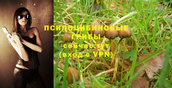 гашик Бронницы