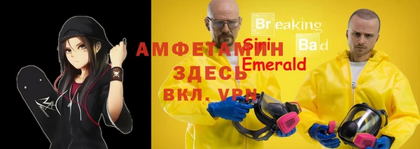 гашик Бородино