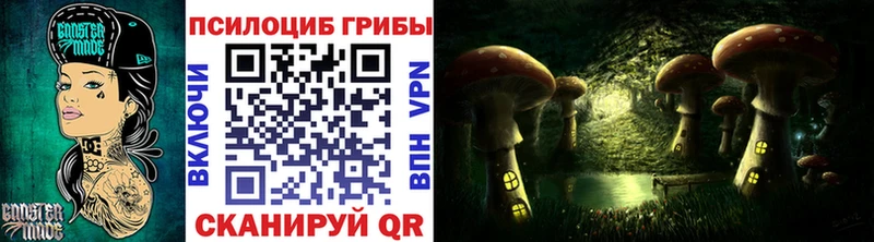 Купить закладки  Островной  Псилоцибиновые грибы прущие грибы 