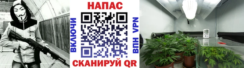 Купить  Островной  Бошки Шишки план 
